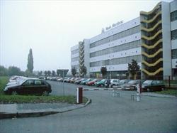 07_Mosilana